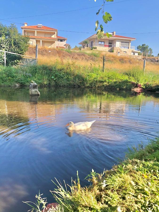 Casa Da Quinta Da Prelada Simao Partie Basse Villa Селорику ди Бащу Екстериор снимка