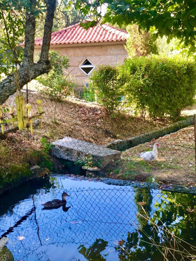 Casa Da Quinta Da Prelada Simao Partie Basse Villa Селорику ди Бащу Екстериор снимка