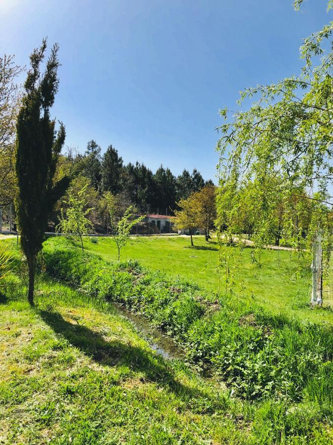 Casa Da Quinta Da Prelada Simao Partie Basse Villa Селорику ди Бащу Екстериор снимка